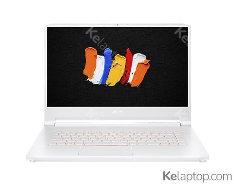 Acer ConceptD 7 Pro CN715-71P-79LW Ausstattung