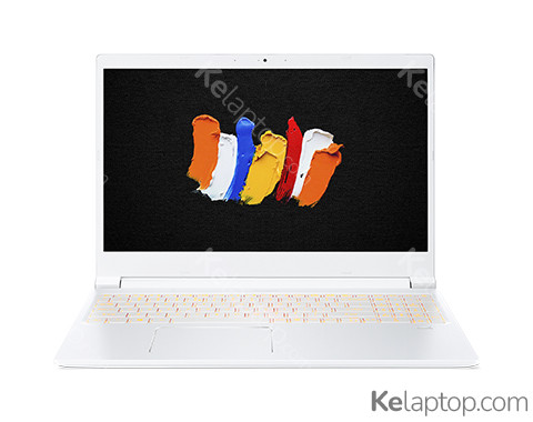 Acer ConceptD 3 CN315-71-71BR Características