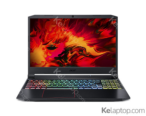 Acer Nitro 5 AN515-55-59Z2 Características