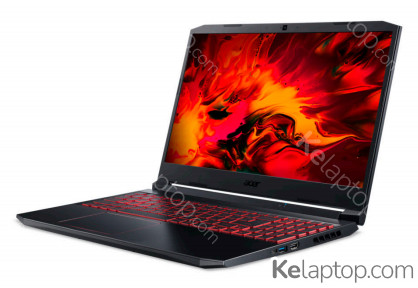 Acer Nitro 5 AN515-44-R311 Specs