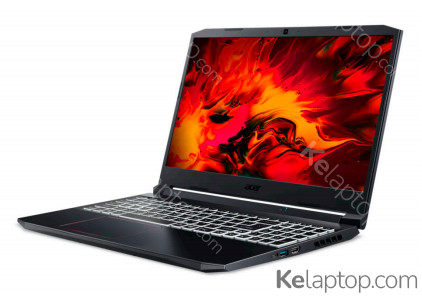 Acer Nitro 5 AN515-55-790P Specs