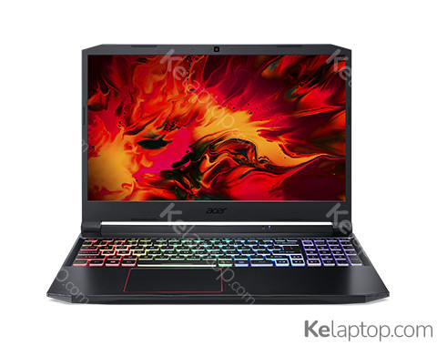 Acer Nitro 5 AN515-44 NH.Q9HEK.002 Specs