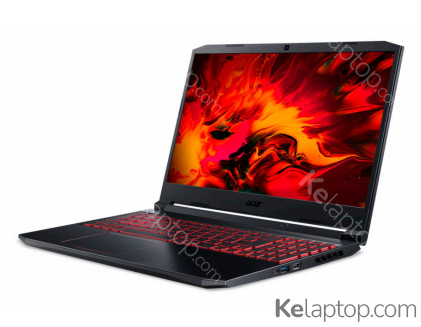 Acer Nitro 5 AN515-44-R4JV Características