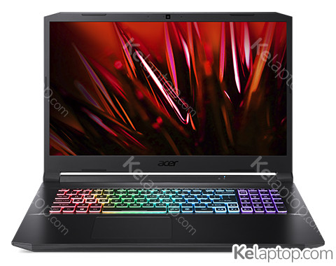 Acer Nitro 5 AN517-41 NH.QAREZ.00H Caractéristiques