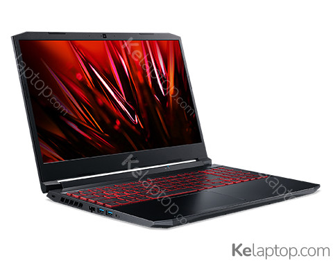 Acer Nitro 5 AN515-45 NH.QBAEY.005 Specs