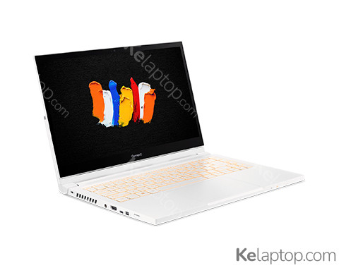 Acer ConceptD 3 Ezel Pro CC315-72P-766L Specificaties