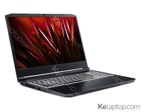 Acer Nitro 5 AN515-45 NH.QBCEZ.00E Specs