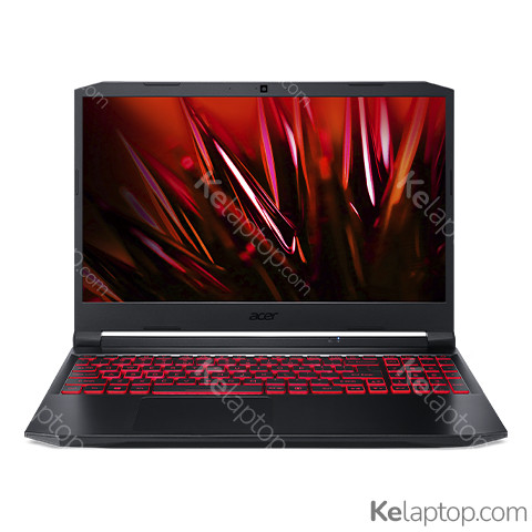 Acer Nitro 5 AN515-45-R95V Características