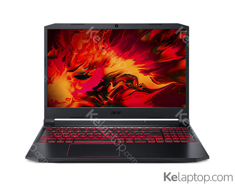 Acer Nitro 5 AN515-55-79ND Características