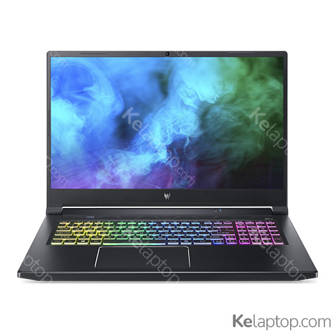 Acer Predator Helios 300 PH317-55-91AT Specs