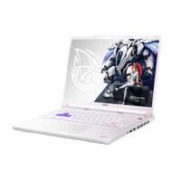 MSI Crosshair A16 HX MLG Edition E8WGK-099FRY