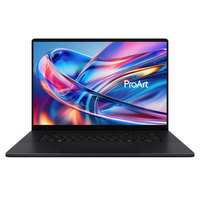 ASUS ProArt P16 H7606WW-SE020W Copilot+