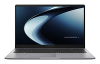 ASUS ExpertBook P1 P1503CVAY-S73203