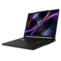 MSI Raider RAIDER 16 HX B2WI-075IT