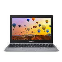 ASUS Chromebook C223NA-GJ0014