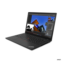 Lenovo ThinkPad T T14 Gen 4 (AMD) 21K3001GSP
