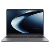 ASUS ExpertBook P3 PM3606CKA-MB0194X Copilot+