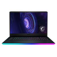 MSI Gaming GE GE76 10UH-231 Raider
