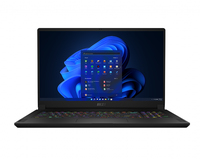 MSI Gaming GS GS76 Stealth 11UE-221