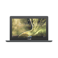 ASUS Chromebook C204EE-YB02-GR