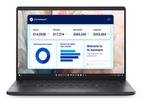 DELL Pro 13 Premium PA13250 8FP9R