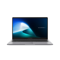 ASUS ExpertBook P1 P1503CV-i515X