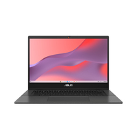 ASUS Chromebook CM14 CM1402CM2A-NK0116