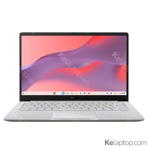 ASUS Chromebook CX14 CX1405CKA-S60332 Ausstattung