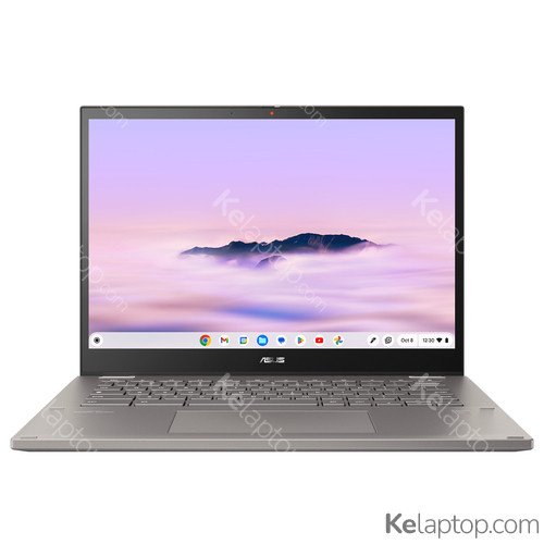 ASUS Chromebook CM34 Flip CL3401FFA-LZ0097 Caratteristiche ASUS Chromebook CM34 Flip CL3401FFA-LZ0097 Caratteristiche
