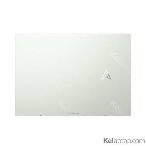 ASUS Zenbook S 13 OLED UM5302TA-OLED-LX733X Specs