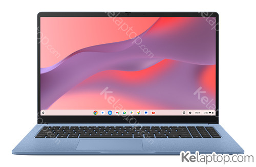 ASUS Chromebook CM15 CM1505CM4A-S70064 90CB0AF1-M005N0 Características
