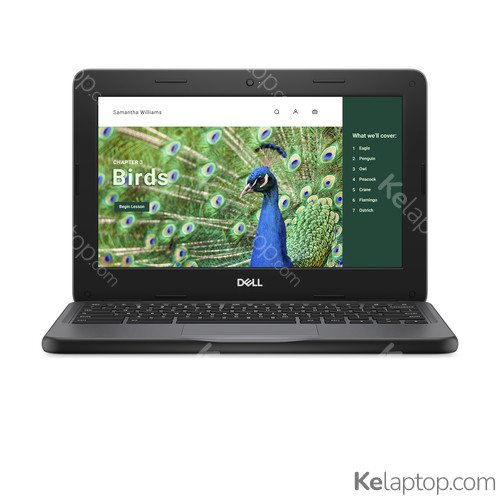 DELL Chromebook 3120 RYPGV Specs DELL Chromebook 3120 RYPGV Specs