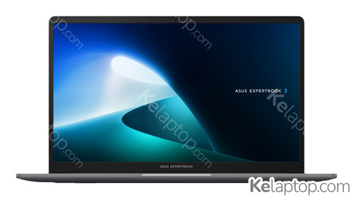 ASUS ExpertBook P1 P1503CVA-S72227 Características