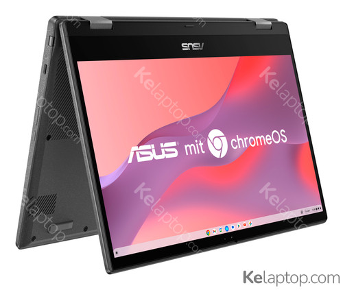 ASUS Chromebook CM14 Flip CM1402FM2A-EC0106 Características