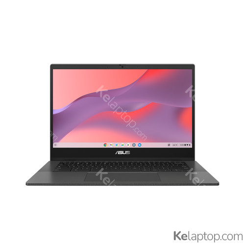ASUS Chromebook CM14 CM1402CM2A-DS44F Ausstattung