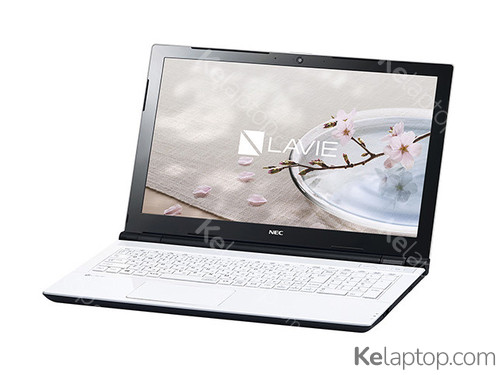 NEC LAVIE Direct NS (e) PC-GN21DJSLDC5AD5YDA Specs