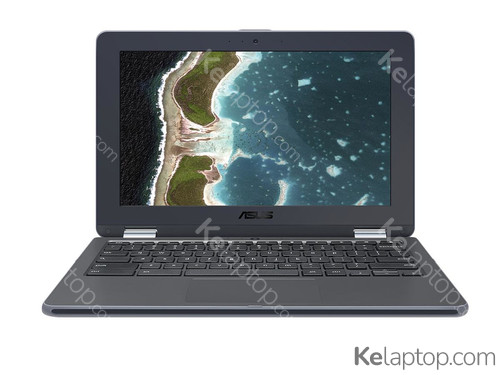 ASUS Chromebook Flip C213NA-BU0025 Características ASUS Chromebook Flip C213NA-BU0025 Características