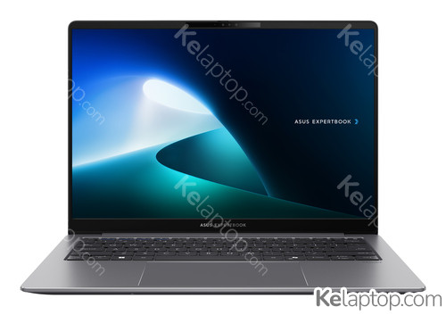 ASUS ExpertBook P5 P5405CSA-DH76 Características