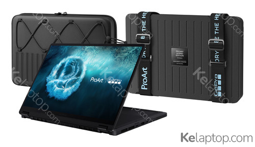 ASUS ProArt GoPro Edition PX13 HN7306EAC-LX045X Caratteristiche ASUS ProArt GoPro Edition PX13 HN7306EAC-LX045X Caratteristiche