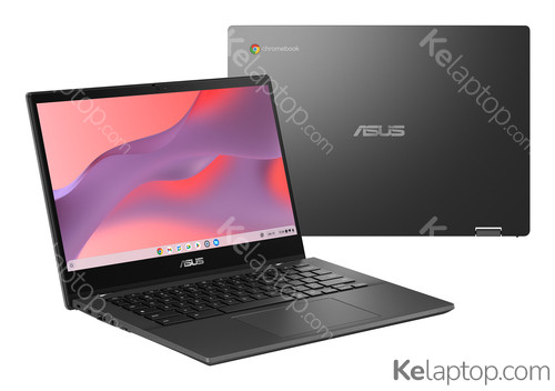 ASUS Chromebook CM14 Flip CM1402FM2A-EC0103 Caratteristiche ASUS Chromebook CM14 Flip CM1402FM2A-EC0103 Caratteristiche