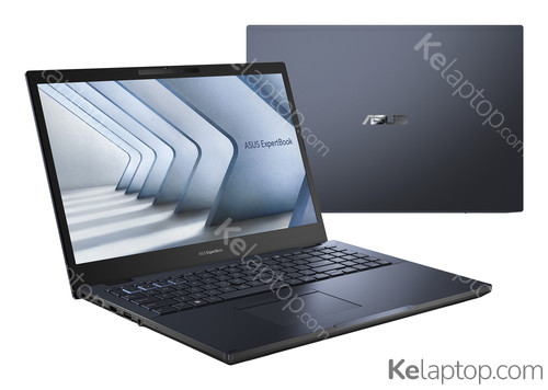 ASUS ExpertBook B2 B2502CVA-BQ0266XA Características