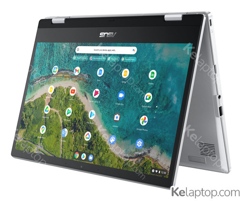 ASUS Chromebook Flip CM1 CM1400FXA-A3DHDSC1 Caratteristiche ASUS Chromebook Flip CM1 CM1400FXA-A3DHDSC1 Caratteristiche