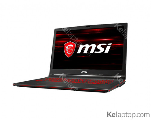MSI Gaming GL GL73 8SE-008X Specs