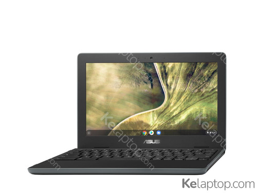 ASUS Chromebook C204EE-GJ0052 Specs ASUS Chromebook C204EE-GJ0052 Specs