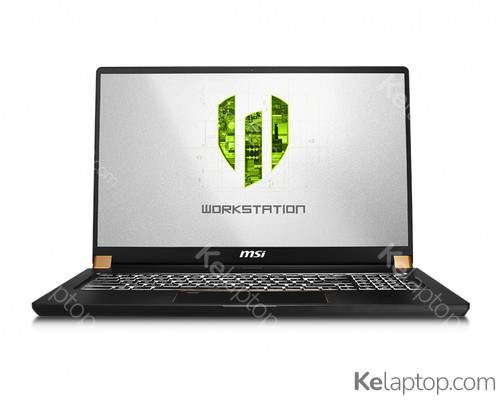 MSI Workstation WS75 9TK-656CA Specs