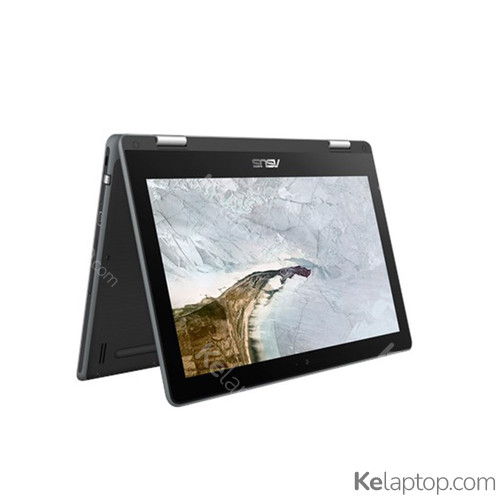 ASUS Chromebook Flip C214MA-BU0091-3Y Specs
