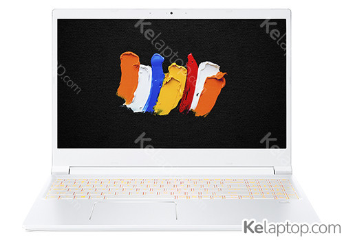 Acer ConceptD 3 Pro CN315-71P-58N0 Specs Acer ConceptD 3 Pro CN315-71P-58N0 Specs