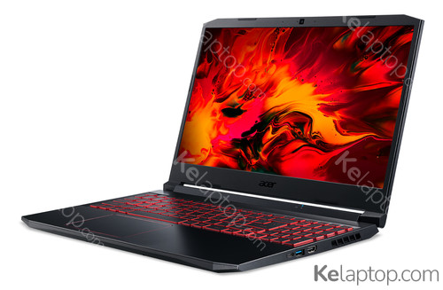 Acer Nitro 5 AN515-44-R54Q Características