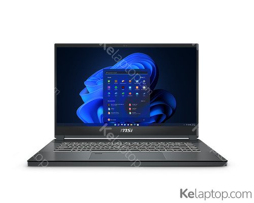 MSI Workstation WS66 10TKT-080 WS66080 Specs