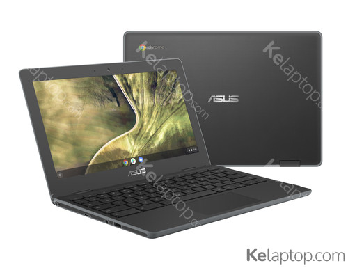 ASUS Chromebook C204MA-GJ0203 Specificaties